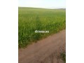 terrain-a-vendre-small-0