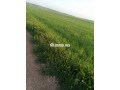 terrain-a-vendre-small-1