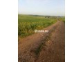 terrain-a-vendre-small-2