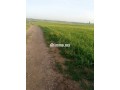 terrain-a-vendre-small-3