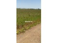 terrain-a-vendre-small-5