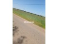 terrain-a-vendre-small-6