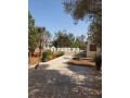 Jolie ferme a vendre - miniature 5