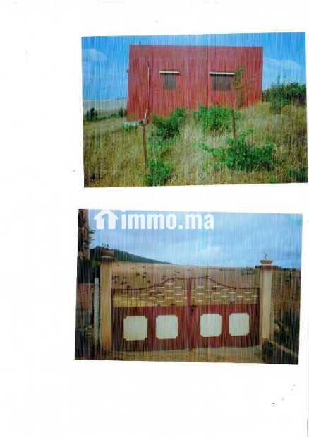 Vente de terrain - Vente Immobilier - Rabat - photo 1