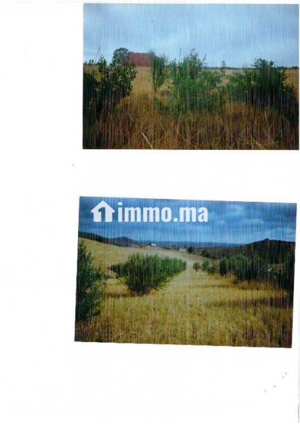 Vente de terrain - Vente Immobilier - Rabat - photo 2