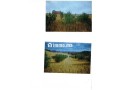 Vente de terrain - miniature 2