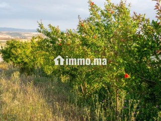 Ferme à vendre - Maison à vendre