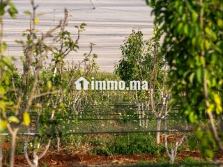 Ferme à la vente à Khemis Sidi Yahya.
Surface de 40000 m² - Terrain à vendre
