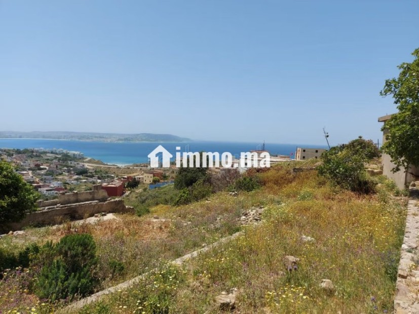 EXCLU Terrain titré de 4000 m2 à Vendre à Mnar - Vente Immobilier - Tanger - photo 2