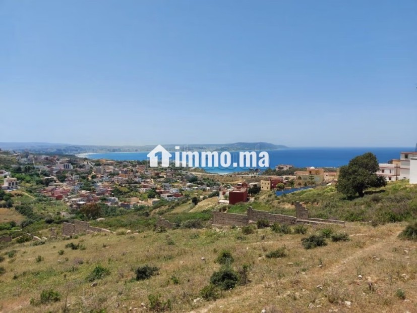 EXCLU Terrain titré de 4000 m2 à Vendre à Mnar - Vente Immobilier - Tanger - photo 5
