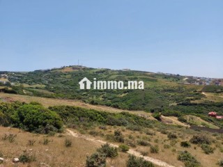 EXCLU Terrain titré de 4000 m2 à Vendre à Mnar - Terrain à vendre - Tanger