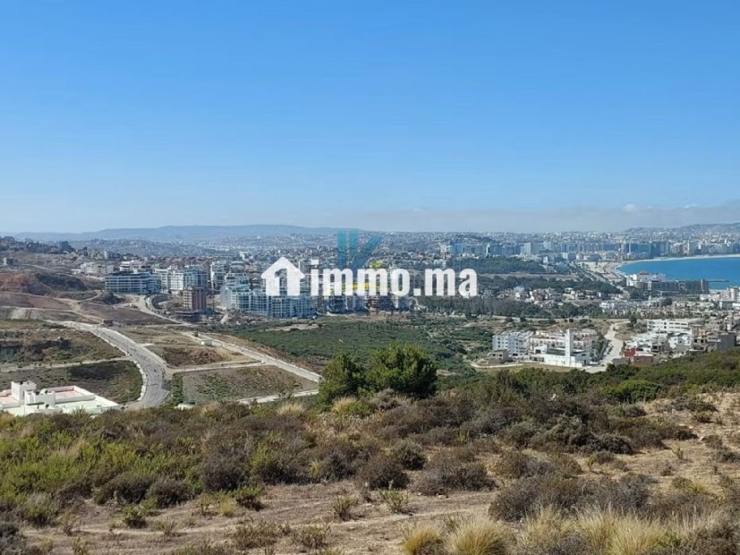 Offre de Terrain pour un projet de villas à Malaba - Vente Immobilier - Tanger - photo 1