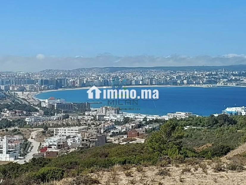Offre de Terrain pour un projet de villas à Malaba - Vente Immobilier - Tanger - photo 2