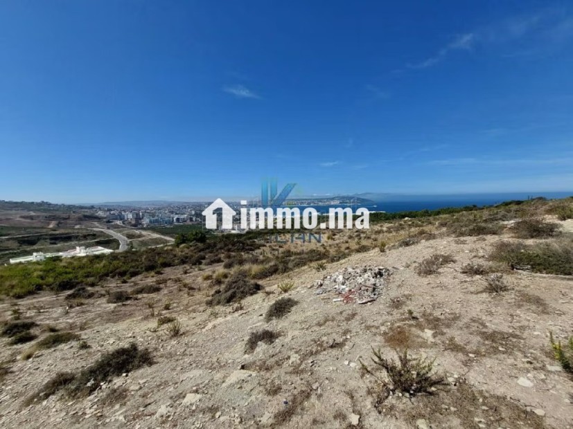 Offre de Terrain pour un projet de villas à Malaba - Vente Immobilier - Tanger - photo 4