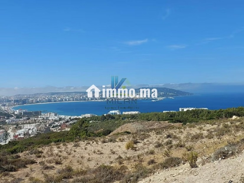 Offre de Terrain pour un projet de villas à Malaba - Vente Immobilier - Tanger - photo 5