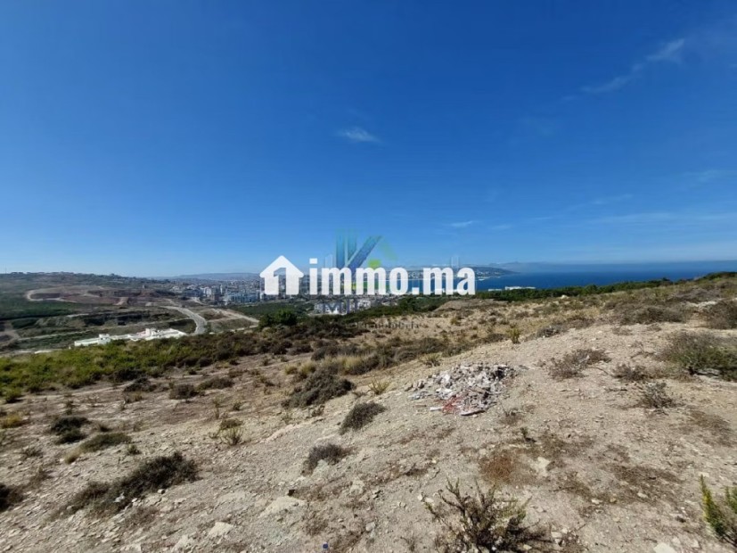 Offre de Terrain pour un projet de villas à Malaba - Vente Immobilier - Tanger - photo 6