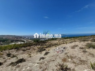 Offre de Terrain pour un projet de villas à Malaba - Villa à vendre - Tanger