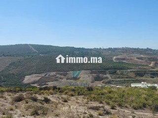Offre de Terrain pour un projet de villas à Malaba - Villa à vendre - Tanger