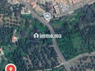 beau-terrain-a-beni-mellal