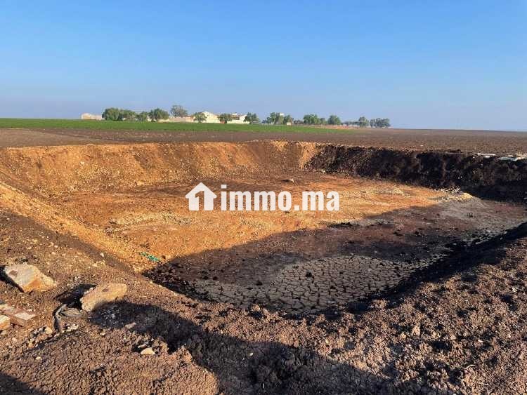 Terrain Agricole de 2,5Ha à Vendre à Oulad Zidane - Vente Immobilier - Casablanca - photo 5