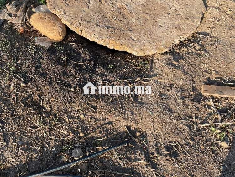 Terrain Agricole de 2,5Ha à Vendre à Oulad Zidane - Vente Immobilier - Casablanca - photo 6