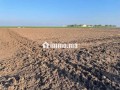Terrain Agricole de 2,5Ha à Vendre à Oulad Zidane - miniature 8