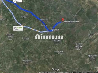 Terrain Agricole de 2,5Ha à Vendre à Oulad Zidane - Terrain à vendre - Casablanca