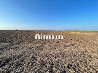 Terrain Agricole de 2,5Ha à Vendre à Oulad Zidane - Terrain à vendre - Casablanca