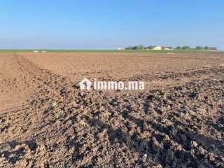 Terrain Agricole de 2,5Ha à Vendre à Oulad Zidane - Terrain à vendre - Casablanca