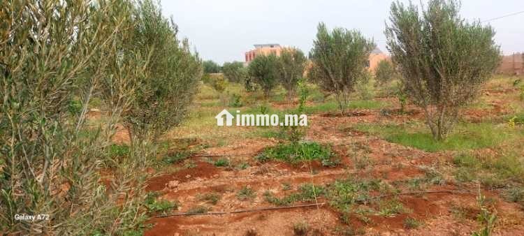 Terrain a vendre agadir issen - Vente Immobilier - Agadir - photo 6