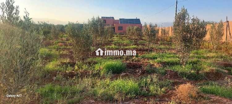 Terrain a vendre agadir issen - Vente Immobilier - Agadir - photo 7