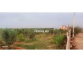 Terrain a vendre agadir issen - miniature 2