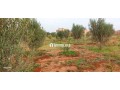 Terrain a vendre agadir issen - miniature 6
