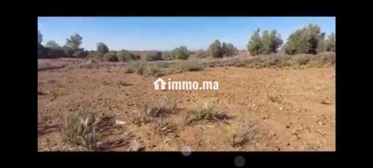 Joli terrain à Ourika قطعة أرض بأوريكا - Vente Immobilier - Marrakech - photo 1