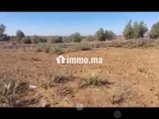 Joli terrain à Ourika قطعة أرض بأوريكا - Terrain à vendre - Marrakech