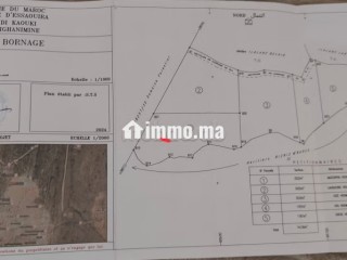 Terrain à la vente à Sidi Kaouki. Surface totale 2500 m² - Terrain à vendre - Essaouira