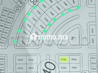 Terrains de bonheur 2 pk40 superficie totale 310 m² - Terrain à louer - Dakhla
