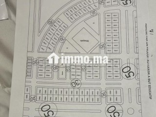 Terrain à la paix. Superficie totale de 310 m² - Terrain à louer - Dakhla