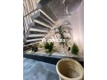Appartements à louer à Les Hôpitaux. 2 pièces. Terrasse et ascenseur - miniature 6