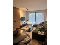 Un magnifique appartement meublé neuf à louer - miniature 2