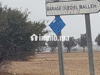 Terraain route de benslimane près du barrage oued maleh - Terrain à vendre - Casablanca
