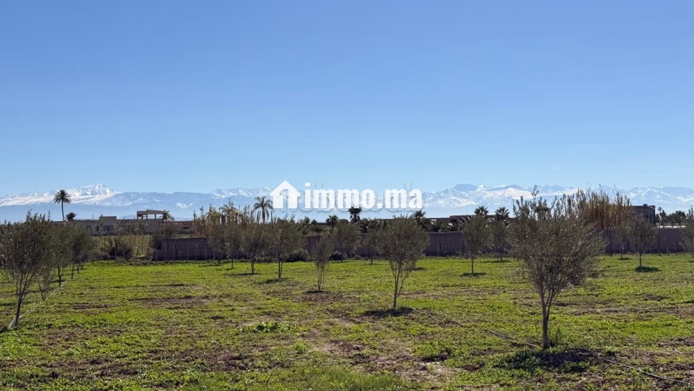 Superbe terrain titré, 10.865m2 vue Atlas villa - Vente Immobilier - Marrakech - photo 5