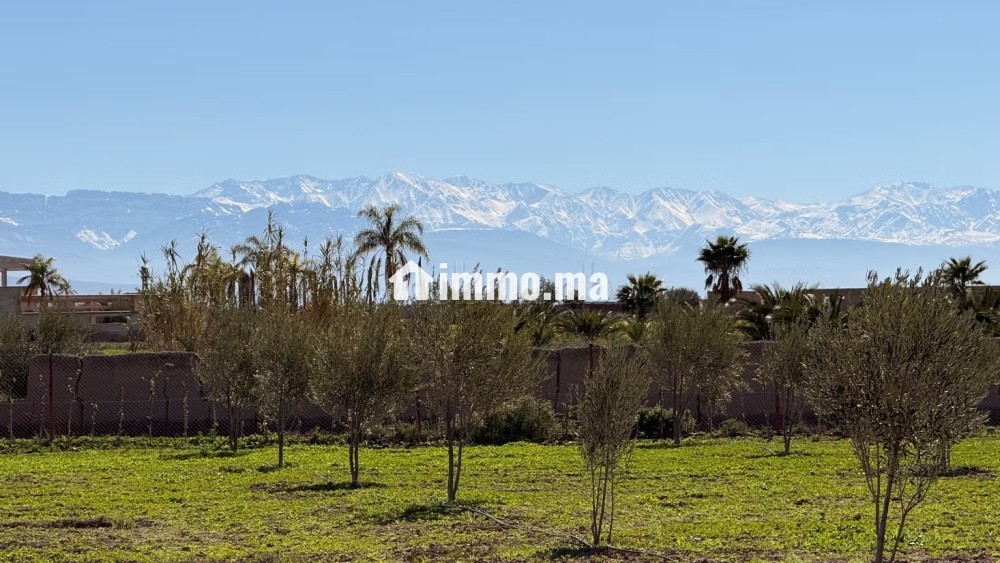 Superbe terrain titré, 10.865m2 vue Atlas villa - Vente Immobilier - Marrakech - photo 6