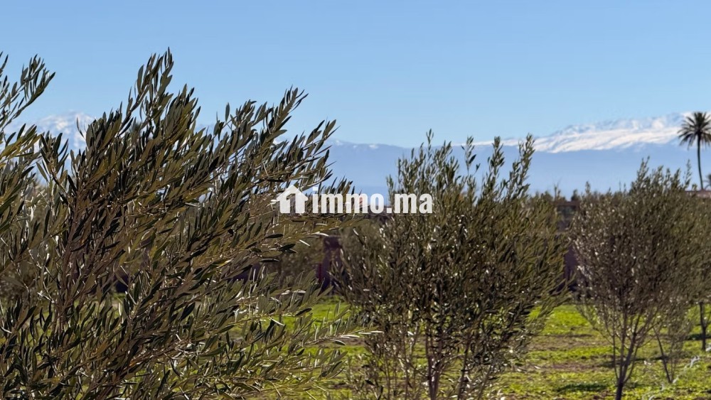 Superbe terrain titré, 10.865m2 vue Atlas villa - Vente Immobilier - Marrakech - photo 8