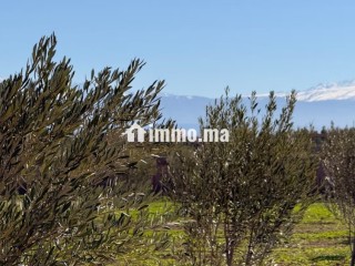 Superbe terrain titré, 10.865m2 vue Atlas villa - Villa à vendre - Marrakech