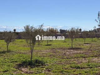 Superbe terrain titré, 10.865m2 vue Atlas villa - Villa à vendre - Marrakech