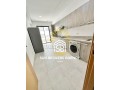 tres-joli-produit-palmier-moderne-small-11