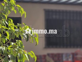 Appartement en vente à Tamesna. 3 chambres. Salon traditionnel et porte blindée - Appartement à vendre - Autre