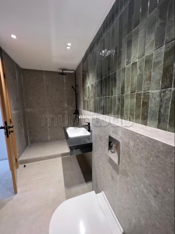 location-apprt-vide-totalement-renover-a-sokrat-big-13