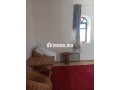 Ferme & huiliterie - miniature 7